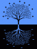 Mini-workshop on Negative Quantification